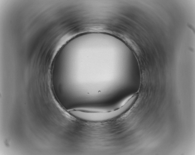 X0000097751432200803211642