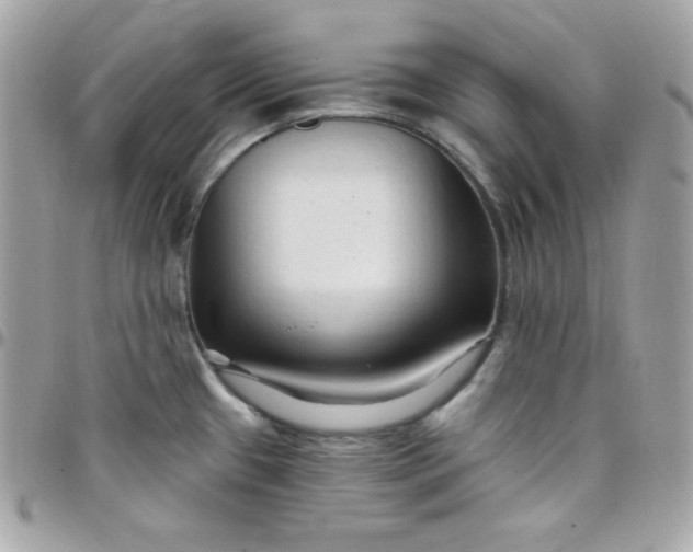 X0000097751433200803211642