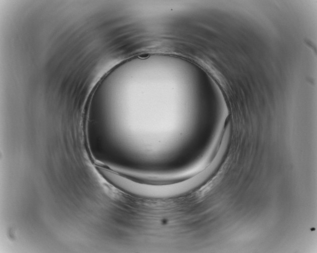 X0000097751434200803211642