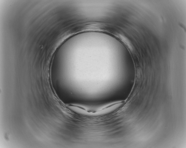 X0000097751435200803211642