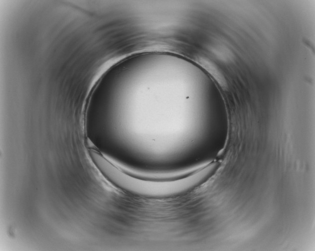 X0000097751436200803211642