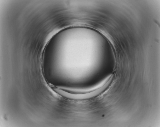 X0000097751437200803211642