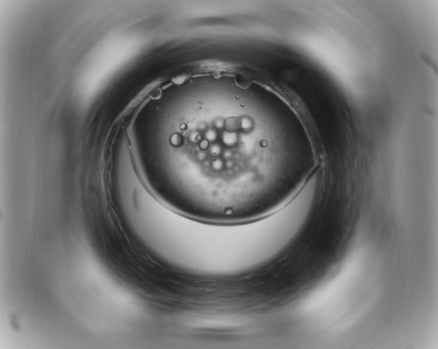 X0000097751438200803211642