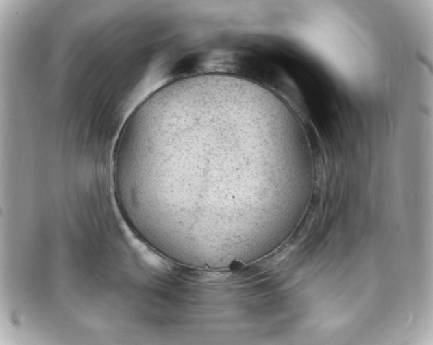 X0000097751439200803211642