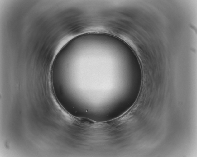 X0000097751440200803211642