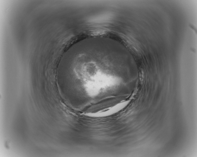 X0000097751441200803211641