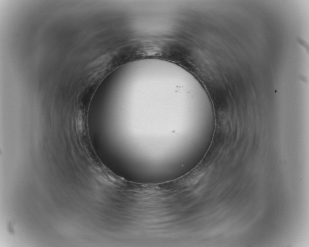 X0000097751442200803211641