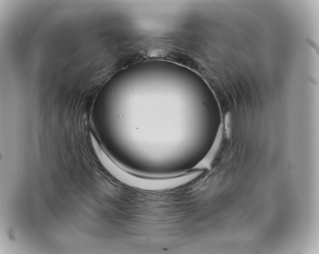 X0000097751443200803211641