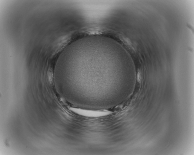 X0000097751444200803211641