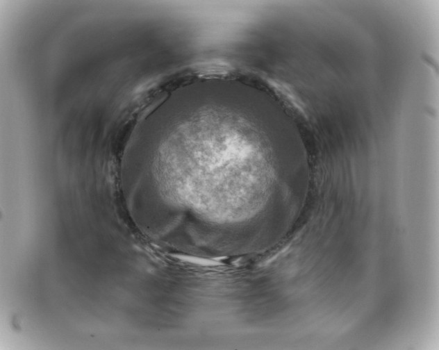 X0000097751445200803211641