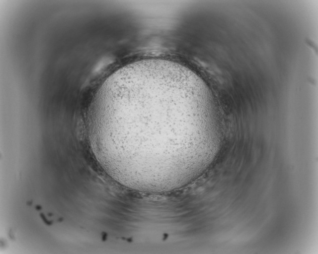 X0000097751446200803211641