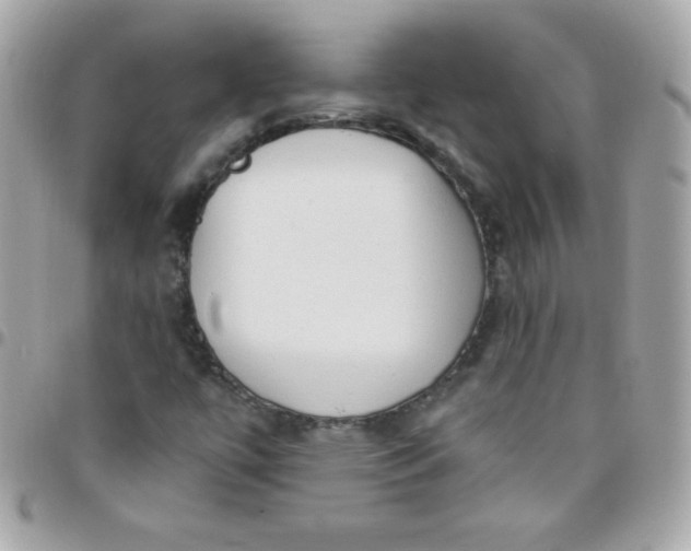 X0000097751447200803211641