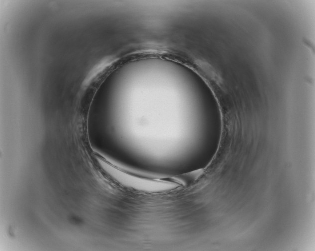 X0000097751448200803211641