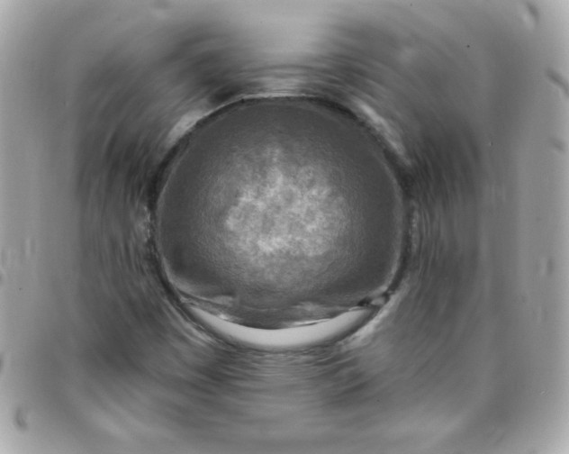 X0000097751449200803211641