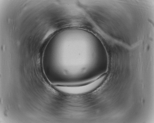 X0000097751450200803211641