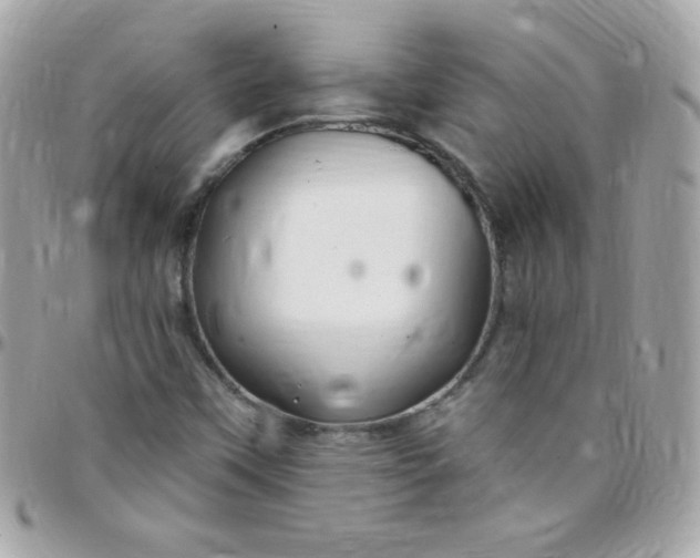 X0000097751451200803211641