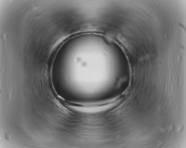 X0000097751452200803211641