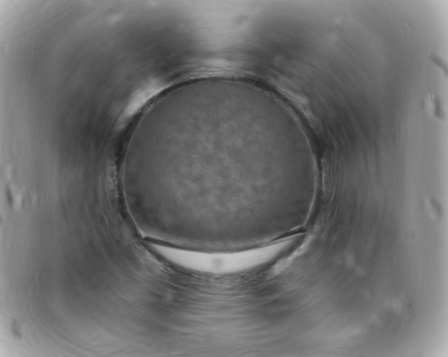 X0000097751453200803211641