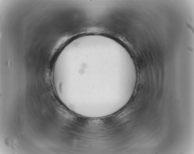 X0000097751454200803211641