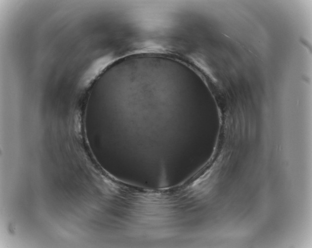 X0000097751455200803211641