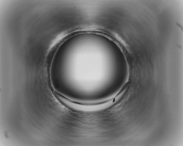 X0000097751456200803211641