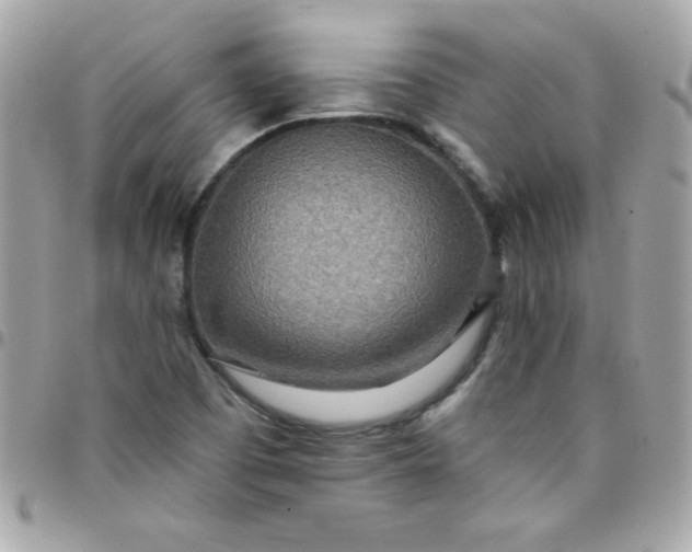 X0000097751457200803211641