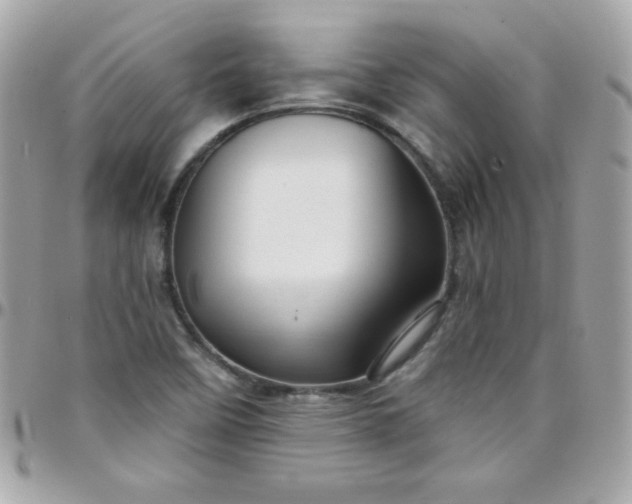 X0000097751458200803211641