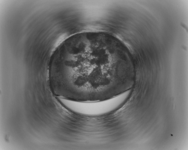 X0000097751459200803211641