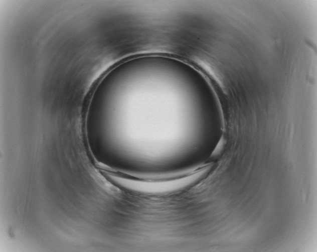 X0000097751460200803211641