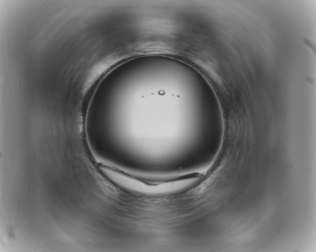 X0000097751461200803211641