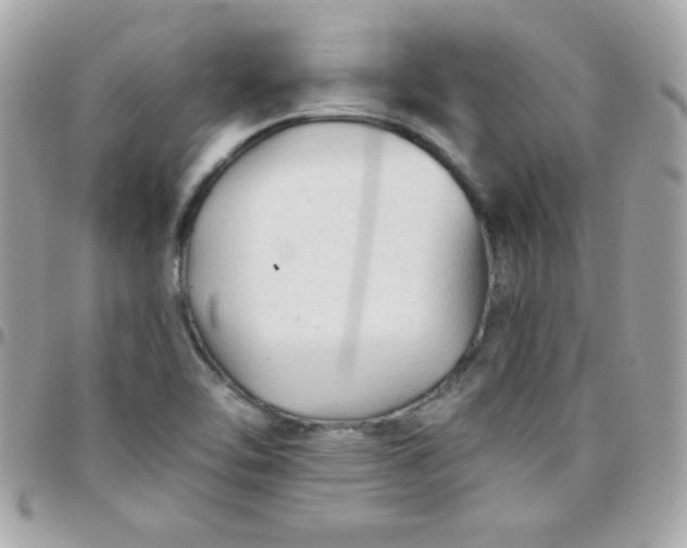 X0000097751462200803211641