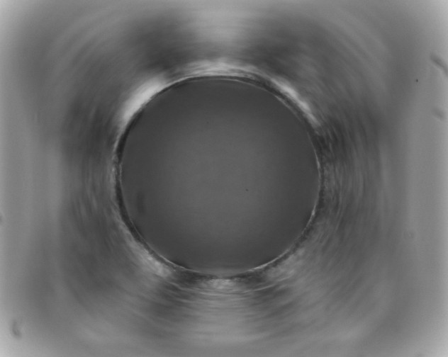 X0000097751463200803211641