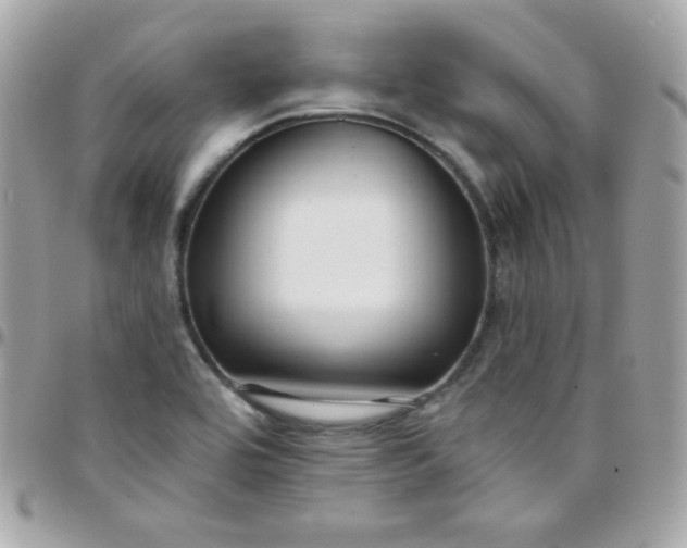 X0000097751464200803211641