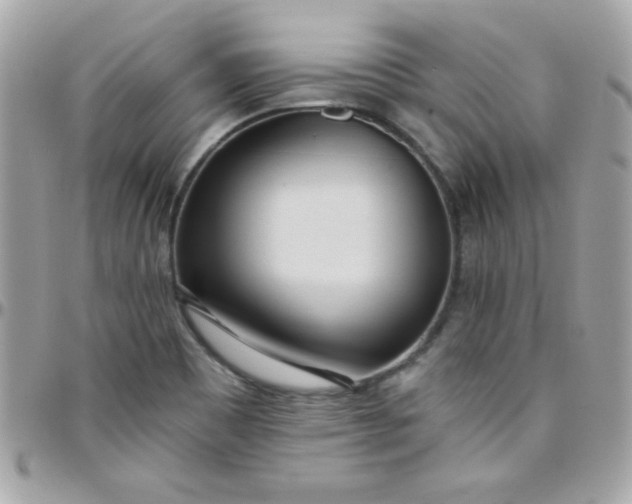 X0000097751465200803211641