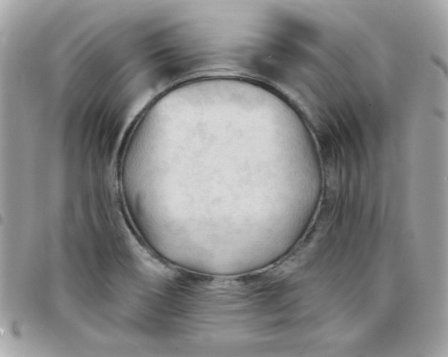 X0000097751466200803211641