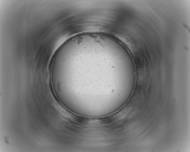 X0000097751467200803211641