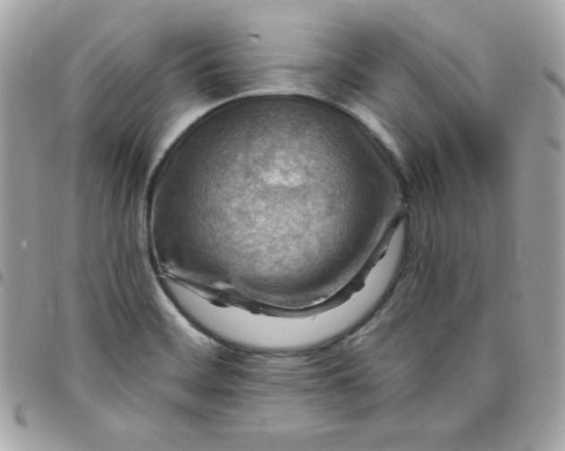 X0000097751468200803211641