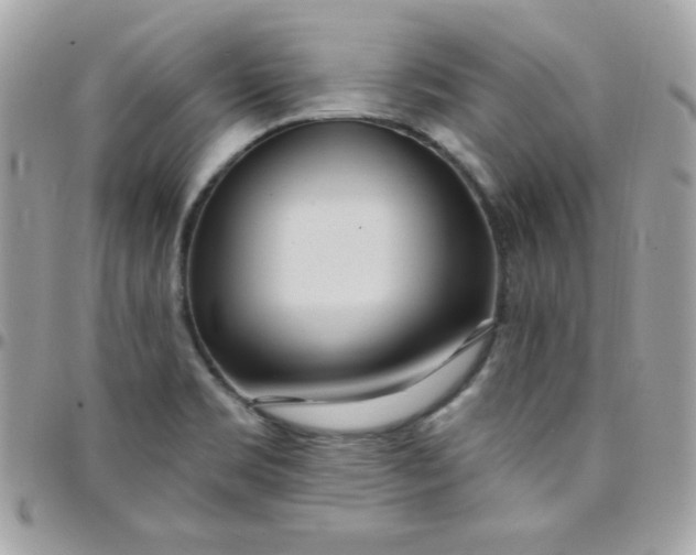 X0000097751469200803211641