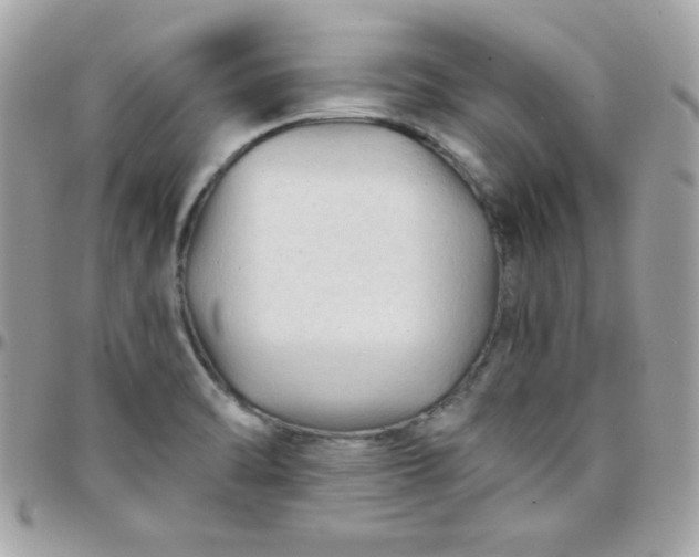 X0000097751470200803211641