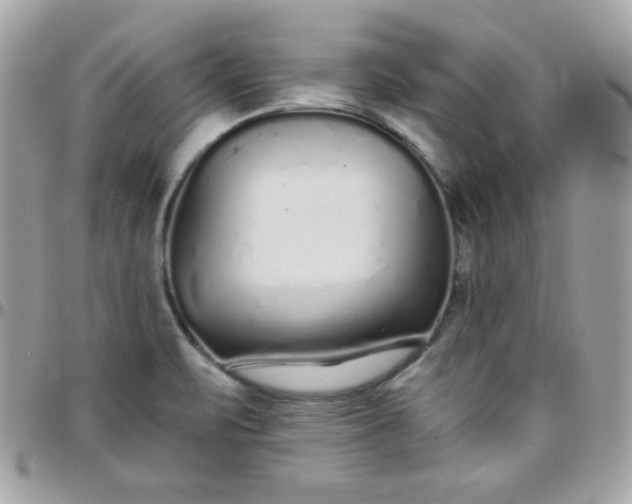 X0000097751471200803211641