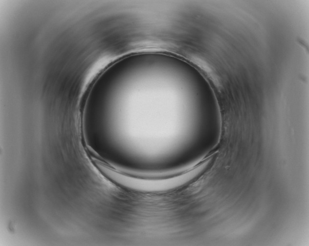 X0000097751472200803211641