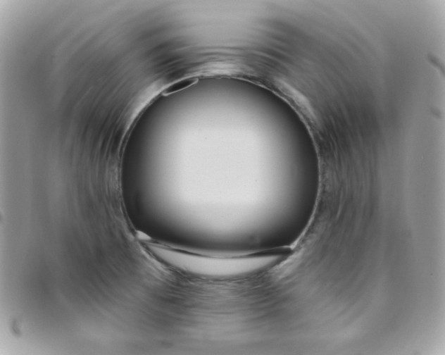 X0000097751473200803211641