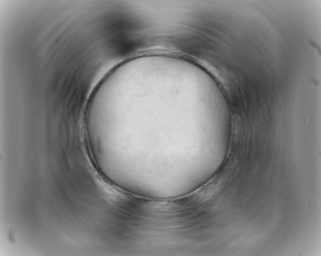 X0000097751474200803211641