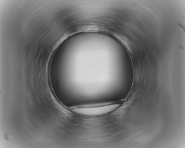 X0000097751475200803211641