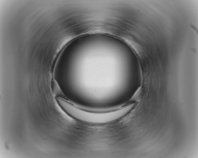 X0000097751476200803211641