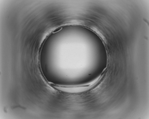 X0000097751477200803211641