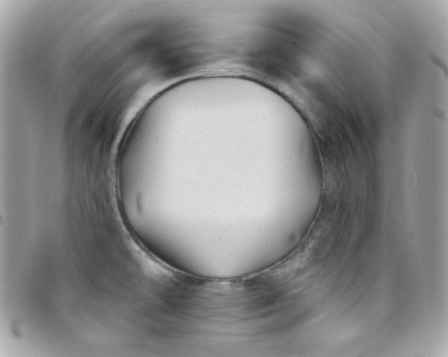 X0000097751478200803211641