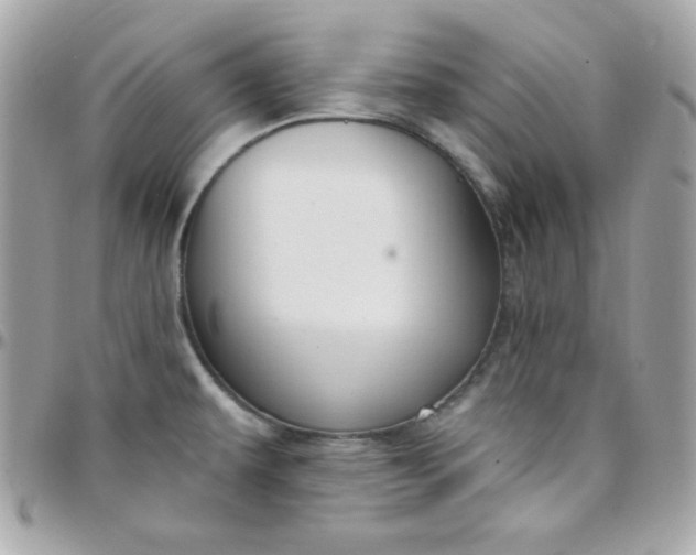 X0000097751479200803211641