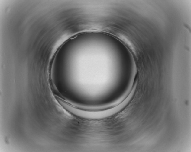 X0000097751480200803211641