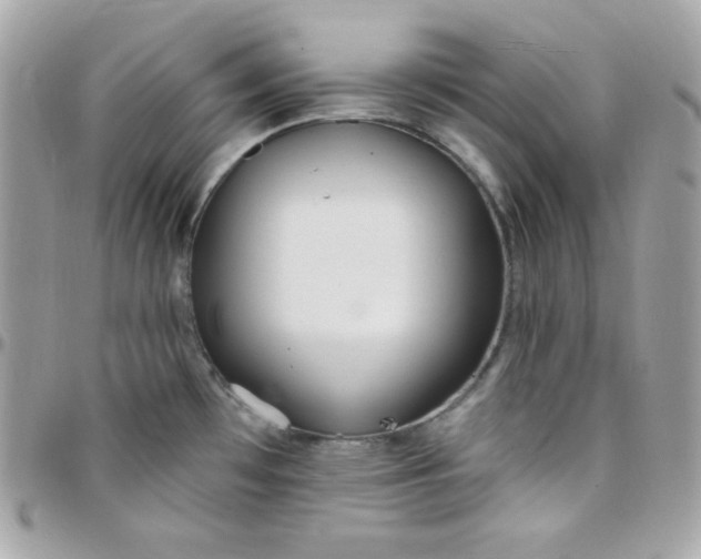 X0000097751481200803211641